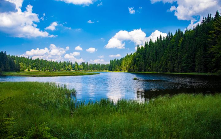 Kesäinen järvimaisema